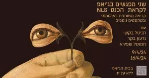 מפגשי הכנה לקראת כנס NLS 2024: "הקליניקה של המבט"