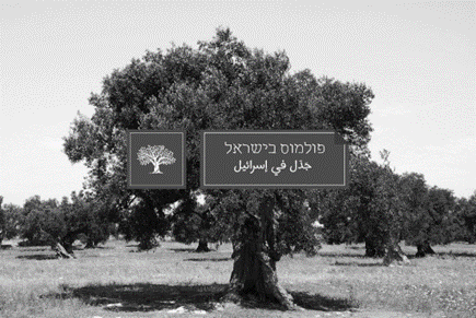 פולמוס בישראל